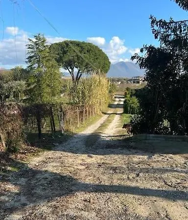Casa Nel A Monterotondo *