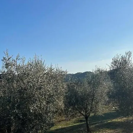 Villa Casa Nel A Monterotondo Cretone